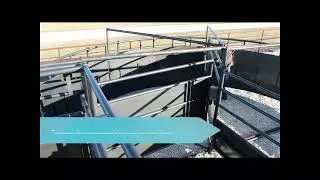 Cornerless Cattle Sweep Tub - Better cattle flow! from RBW Ag