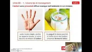 I microrganismi - Lezione 1