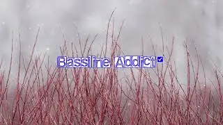 Wittyboy - Crank It│BasslineAddict