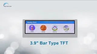 [RFS390B-ALW-DNN] Raystar 3.9 inch Bar Type TFT LCD Display Module