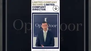 Limited company income/limited company director