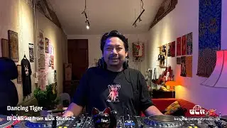 Dancing Tiger - 8th November 2025 | Bangkok Community Radio