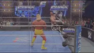 Aaron Matthews Vs Hulk Hogan