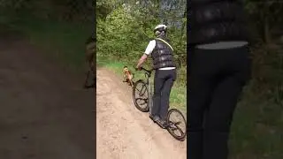 Dogscooter mit Hora II