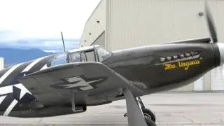 P-51 Mustang WWII Fighter