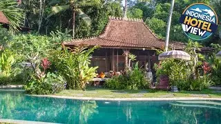 Villa Mahadevi Jungle Retreat Joglo 2 | Bali, Indonesia | Hotel Review 🏩