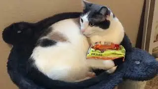 Chip hack #lifehacks #cheetos