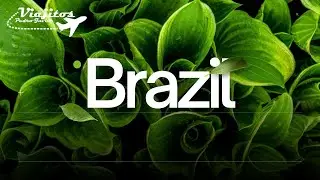 Explore the wonders of the Amazon river and more - Brazil