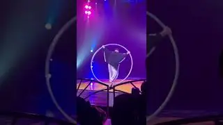 Omyd - Circus Artist