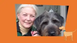 Hannah The Pet Society: How Does Hannah Work