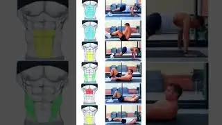 fitness center #gymworkout gym #fitnessworkouts youtube #fitness #fitnesscenter #workouts #morining