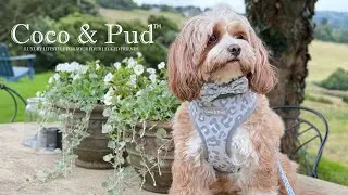 How To Reverse A Coco & Pud Harness