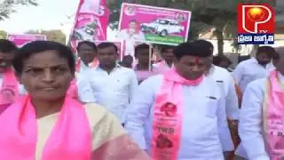 TRS URBAN CANDIDATE BIGALA PRACHARAM || PRAJA JAGRUTHI TV || NIZAMABAD