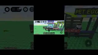 putting my golden lab in the machines