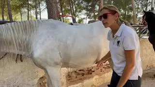 Descubriendo la equitación