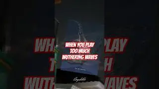 #BRANT is that you !? 😳  #wutheringwaves #wutheringwavescharacters #wuwa #meme