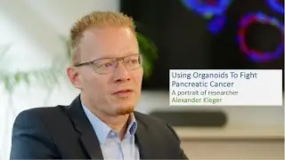 Using Organoids to Fight Pancreatic Cancer: A portrait of Alexander Kleger