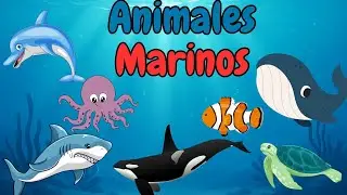 🌊Conociendo los Animales Marinos 🐬🐋🐙
