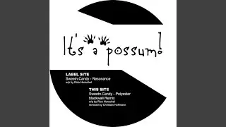 It's A Possum!