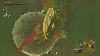Korok Seed 186, Hateno School | The Legend of Zelda: Tears of the Kingdom