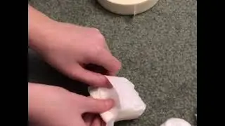 How to make rat diapers