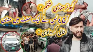 Police na mandi ake mint ma khtm kar di 300 ka ake baxha lya Shok Kara @KhokharPigeonsClub #pigeon 