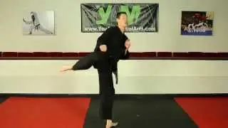 Jumping Spin Kick tutorial - YAMA Instructional Video