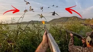Duck Hunting 4 Man LIMIT! INSANE Mixed bag - Public Land Duck Hunting