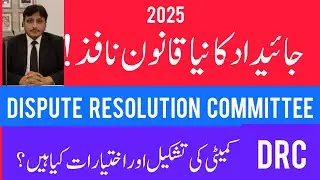 What is Dispute Resolution Committee and what are it's powers according to property ordinance 2025.
