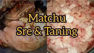 Matchu Sre, Taning, Nachil Fry 👌🤤 / Cow Tongue, Brain, Ear Fry / Northeast Curry / Garo Mukbang