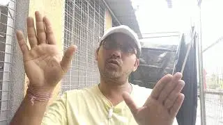 Pigeon egg problem solve