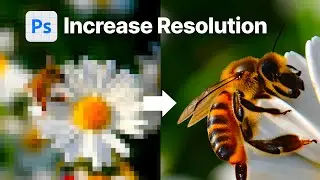 How to Increase Resolution and Enhance Details in Photoshop