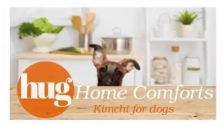 Hug Home Comforts: Kimchi for dogs