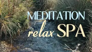 🌿 NATURAL STREAM SOUNDS FOR SPA, MEDITATION & DEEP RELAXATION 💧