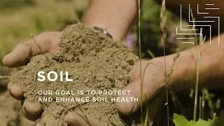 Soil in the New Zealand Wine Industry