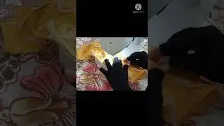 Dress Designing Ideas For Summer 2022/ Eid Special Trouser Design/simple pant design for beginners