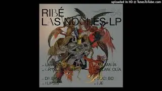 9 - Ribe - Diagnóstico [PoleGroup064]