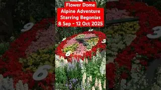 Flower Dome - Alpine Adventure Starring Begonias | Singapore Gardens By the Bay #flowerdome