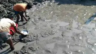 amazing fishing video ,Wow! Amazing Children Fishing - How To Catch Fish By Hand