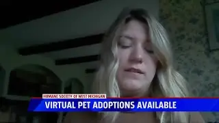 Virtual pet adoptions