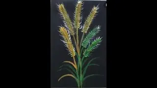 Color Painting Setaria Viridis | Setaria Viridis Plants | Shorts