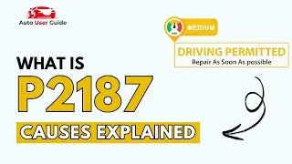 What is P2187 : Engine Error Code Causes Explained