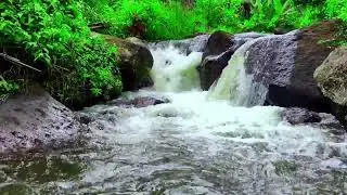 4K - Pleasant stream sound flowing over rocks, Relaxing River Sounds, Peaceful calming stream