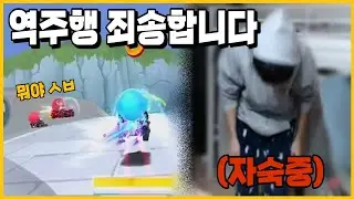 코드네임 퇴출 당할꺼 같은데.../카러플
