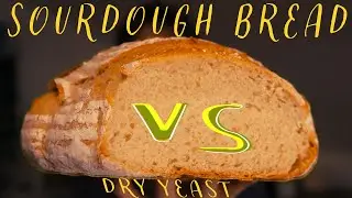 Which Bread is Best | Dry Yeast Vs Sourdough experiment