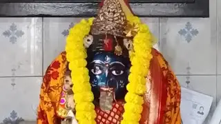 🪷 নীল সরস্বতী পূজা 🪷 #sarawati #puja #basantpanchami #bengali #pooja #festival #viral #shorts #video