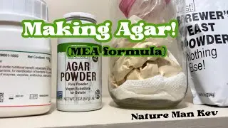 Making Agar Plates using the MEA formula! 🧫 | Roots and Rhizo | Nature Man Kev