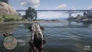 Read Dead Redemption 2|Horse Hurts