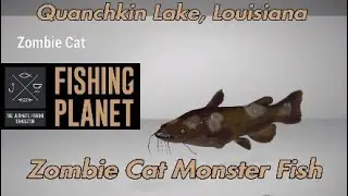 Кошачий зомби-монстр &mdash; озеро Куанчкин, Луизиана &mdash; путеводитель по Fishing Planet