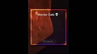 ⚠️fw⚠️ Warrior Cats vs Wings of Fire  // og idea: @-snowfawn-
